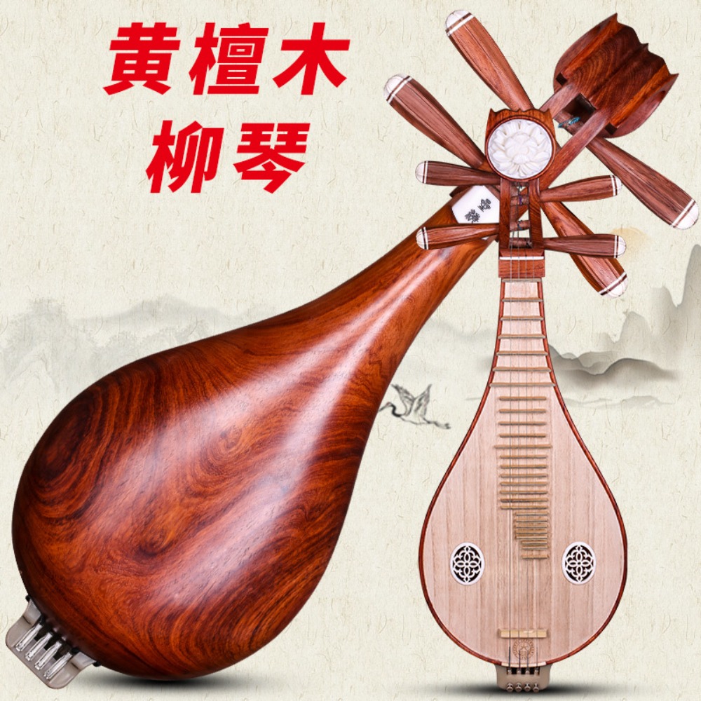 Beijing Xinghai 8414-A Rosewoo - Musical Instruments 评论和价格