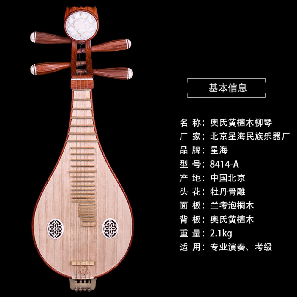 Beijing Xinghai 8414-A Rosewoo - Musical Instruments 评论和价格