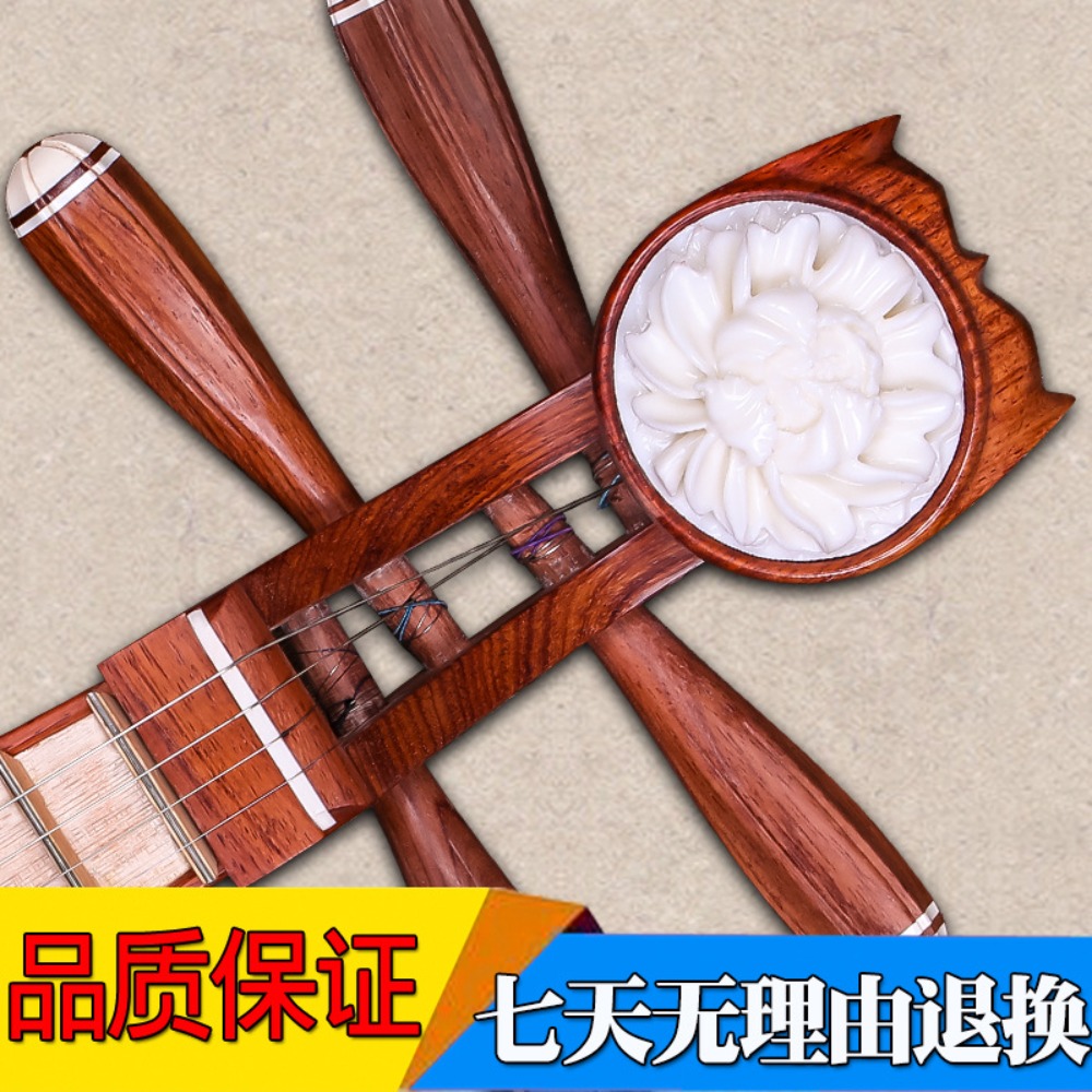 Beijing Xinghai 8414-A Rosewoo - Musical Instruments 评论和价格