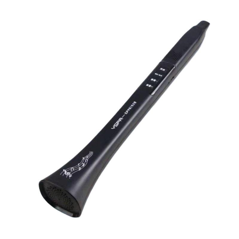 Portable Electronic Wind Instr - Musical Instruments 评论和价格