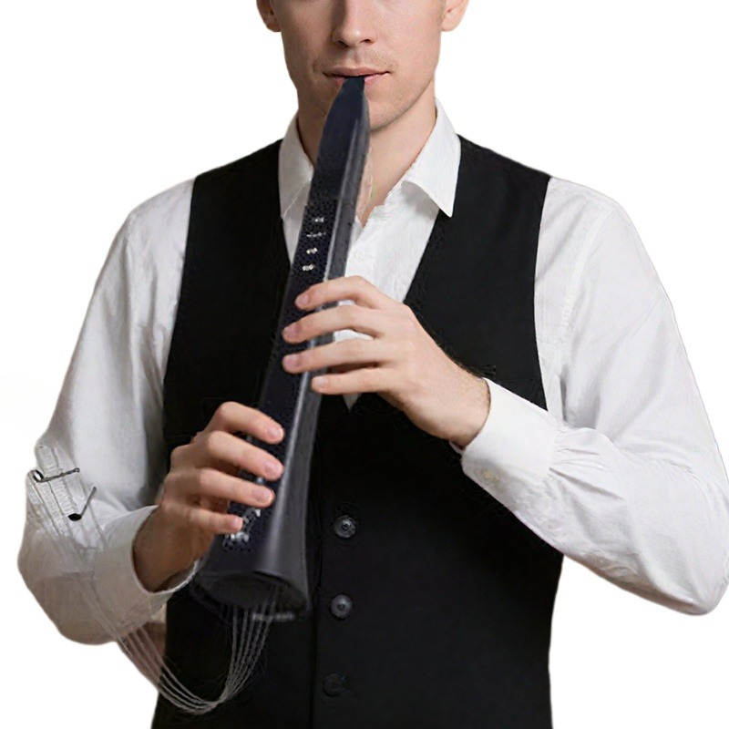 Portable Electronic Wind Instr - Musical Instruments 评论和价格