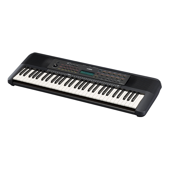 Competitive Price  PSR E273 Po - Musical Instrument Keyboard Price 评论和价格